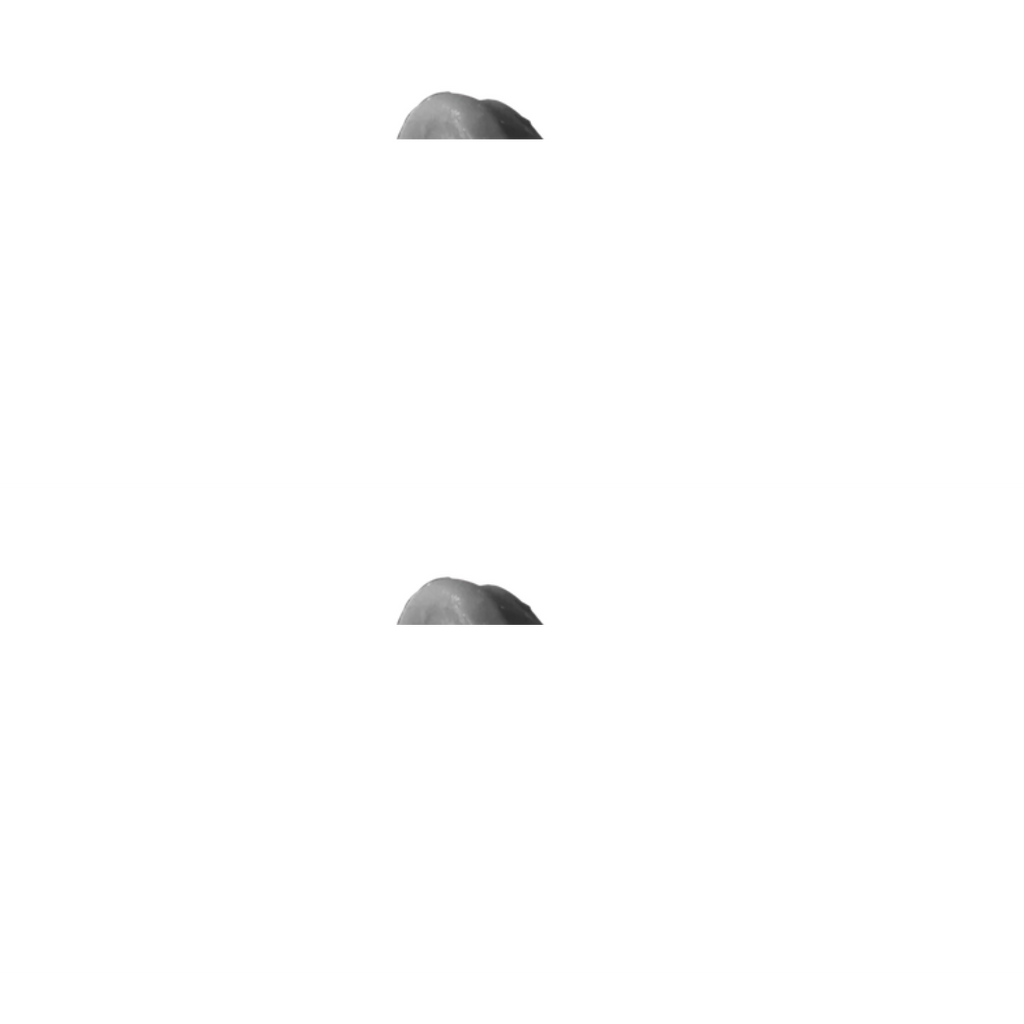 ARENCIA Black Tea & Yuzu Rice Mochi Cleanser 120g