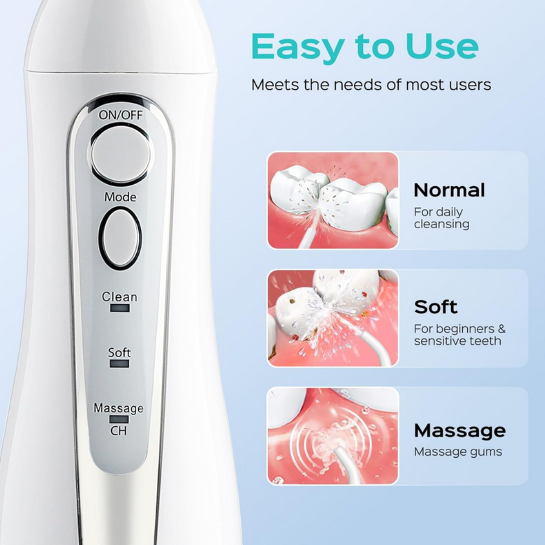 Professional Water Flosser With 5 Brushes